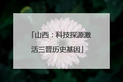 山西：科技探源激活三晋历史基因