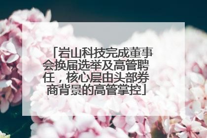 岩山科技完成董事会换届选举及高管聘任，核心层由头部券商背景的高管掌控