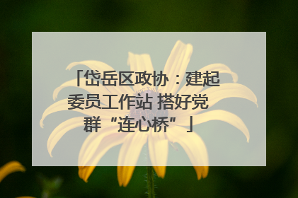 岱岳区政协：建起委员工作站 搭好党群“连心桥”