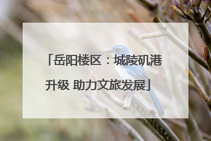 岳阳楼区：城陵矶港升级 助力文旅发展