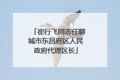 崔行飞同志任聊城市东昌府区人民政府代理区长