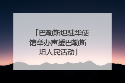 巴勒斯坦驻华使馆举办声援巴勒斯坦人民活动
