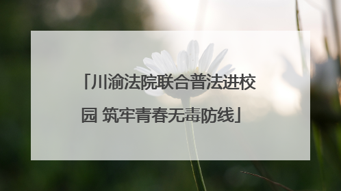 川渝法院联合普法进校园 筑牢青春无毒防线