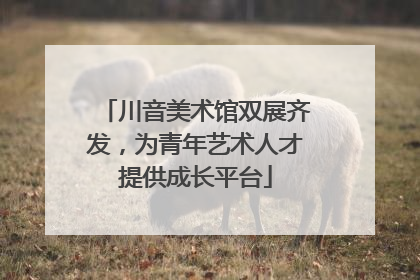 川音美术馆双展齐发，为青年艺术人才提供成长平台
