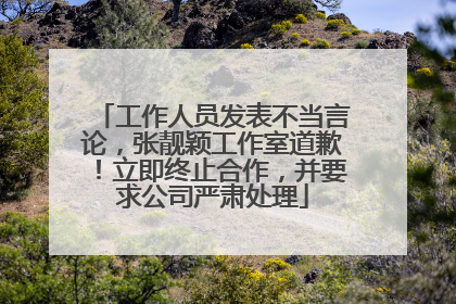 工作人员发表不当言论，张靓颖工作室道歉！立即终止合作，并要求公司严肃处理