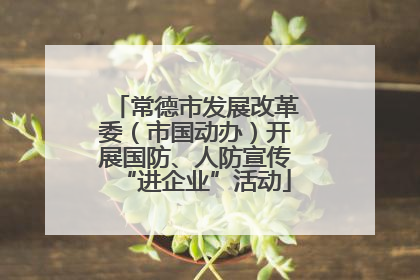 常德市发展改革委（市国动办）开展国防、人防宣传“进企业”活动