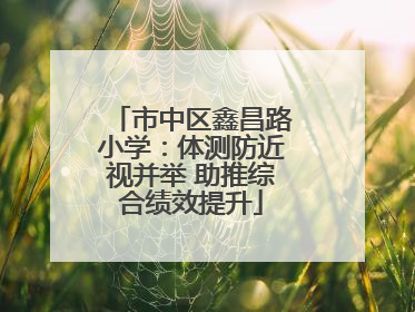 市中区鑫昌路小学：体测防近视并举 助推综合绩效提升