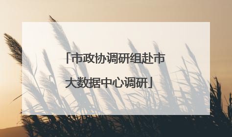 市政协调研组赴市大数据中心调研