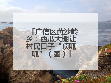 广信区黄沙岭乡：西瓜大棚让村民日子“顶呱呱”（图）