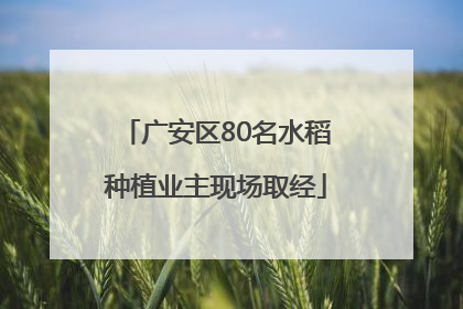 广安区80名水稻种植业主现场取经