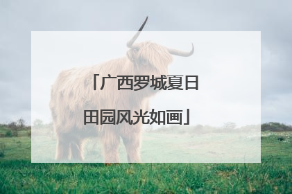 广西罗城夏日田园风光如画