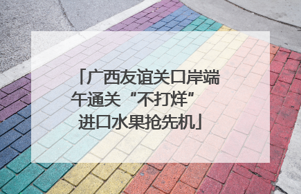 广西友谊关口岸端午通关“不打烊” 进口水果抢先机