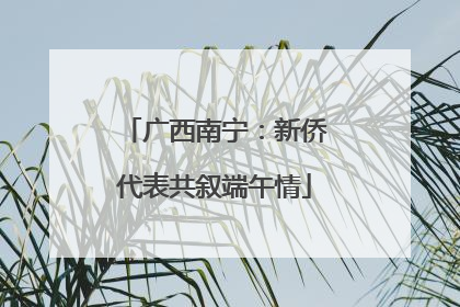 广西南宁：新侨代表共叙端午情