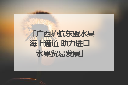 广西护航东盟水果海上通道 助力进口水果贸易发展
