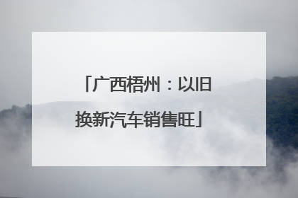 广西梧州：以旧换新汽车销售旺
