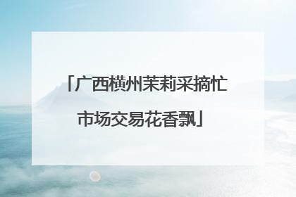 广西横州茉莉采摘忙 市场交易花香飘