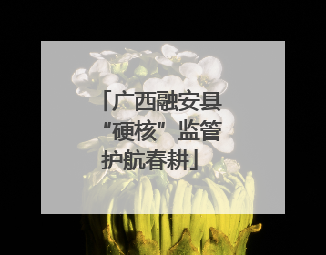 广西融安县“硬核”监管护航春耕