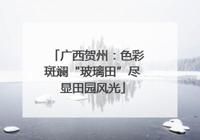 广西贺州：色彩斑斓“玻璃田”尽显田园风光