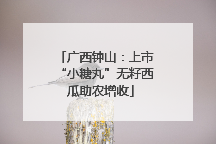 广西钟山：上市“小糖丸”无籽西瓜助农增收