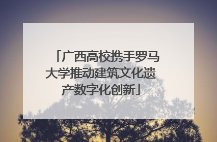 广西高校携手罗马大学推动建筑文化遗产数字化创新
