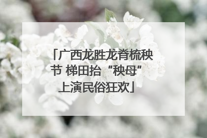 广西龙胜龙脊梳秧节 梯田抬“秧母”上演民俗狂欢