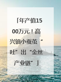 年产值1500万元！高兴镇小蚕茧“吐”出“金丝产业链”