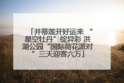 并蒂莲开好运来 “星空牡丹”绽异彩 洪湖公园“国际荷花派对”三天迎客六万
