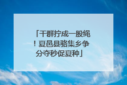 干群拧成一股绳！夏邑县骆集乡争分夺秒促夏种
