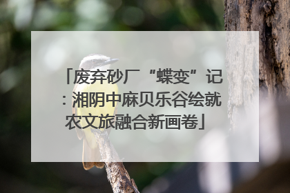 废弃砂厂“蝶变”记：湘阴中麻贝乐谷绘就农文旅融合新画卷