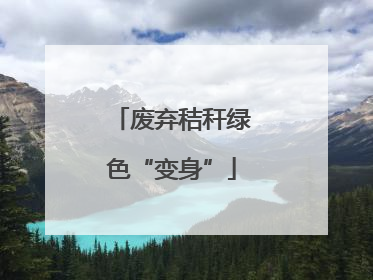 废弃秸秆绿色“变身”