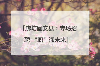 廊坊固安县：专场招聘 “职”通未来