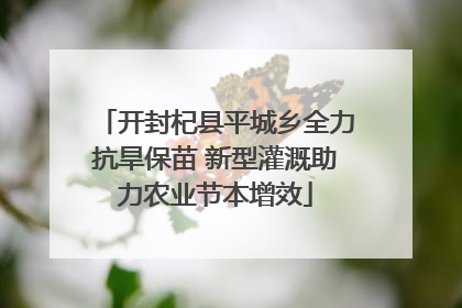 开封杞县平城乡全力抗旱保苗 新型灌溉助力农业节本增效