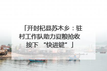 开封杞县苏木乡：驻村工作队助力夏粮抢收按下 “快进键”