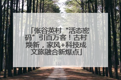 张谷英村“活态密码”引百万客！古村焕新，家风+科技成文旅融合新爆点
