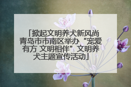 掀起文明养犬新风尚 青岛市市南区举办“宠爱有方 文明相伴”文明养犬主题宣传活动
