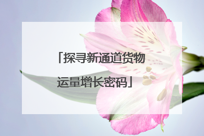 探寻新通道货物运量增长密码