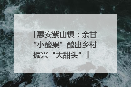 惠安紫山镇：余甘“小酸果”酿出乡村振兴“大甜头”