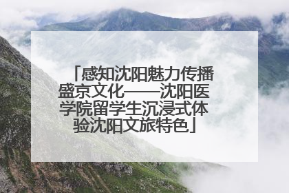 感知沈阳魅力传播盛京文化——沈阳医学院留学生沉浸式体验沈阳文旅特色