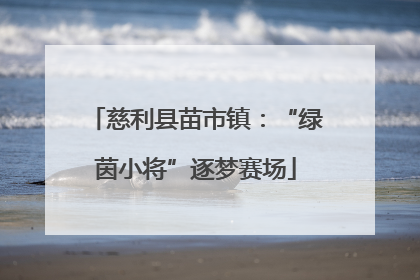 慈利县苗市镇：“绿茵小将”逐梦赛场