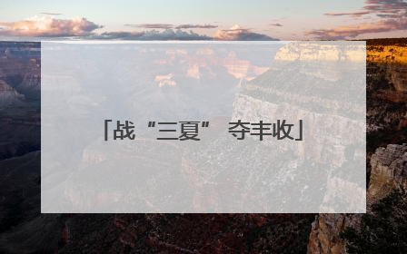 战“三夏” 夺丰收