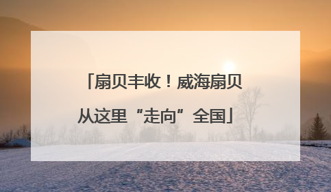 扇贝丰收！威海扇贝从这里“走向”全国