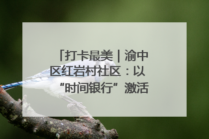 打卡最美｜渝中区红岩村社区：以“时间银行”激活垃圾分类新动能