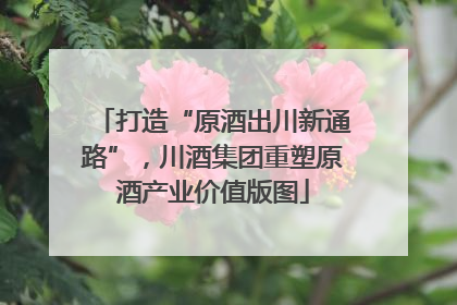 打造“原酒出川新通路”，川酒集团重塑原酒产业价值版图
