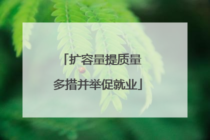 扩容量提质量 多措并举促就业