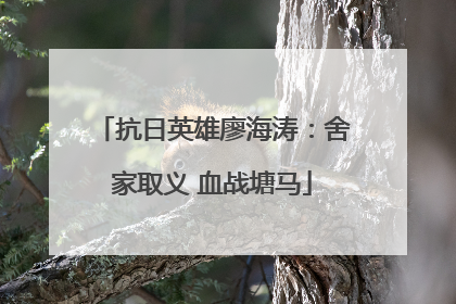 抗日英雄廖海涛：舍家取义 血战塘马