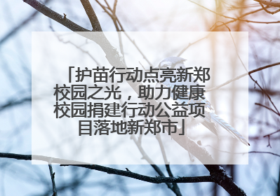 护苗行动点亮新郑校园之光，助力健康校园捐建行动公益项目落地新郑市