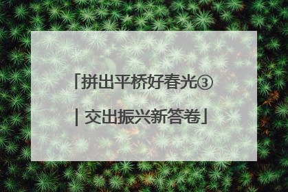 拼出平桥好春光③｜交出振兴新答卷