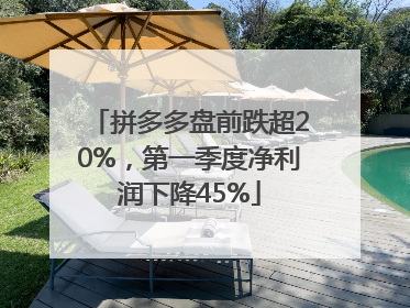 拼多多盘前跌超20%，第一季度净利润下降45%