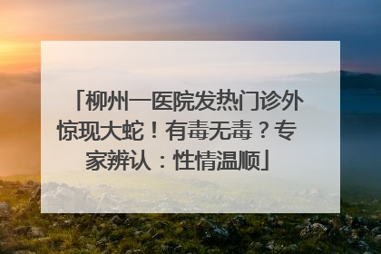 柳州一医院发热门诊外惊现大蛇！有毒无毒？专家辨认：性情温顺