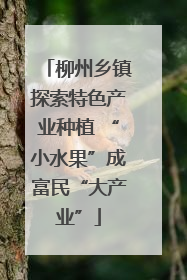 柳州乡镇探索特色产业种植 “小水果”成富民“大产业”